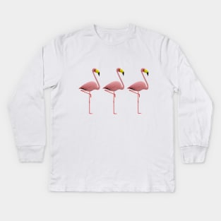 flamingo Kids Long Sleeve T-Shirt